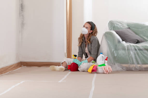 Trusted Crawl Space Mold Removal service in Hackensack, NJ - WQB Mold Removal